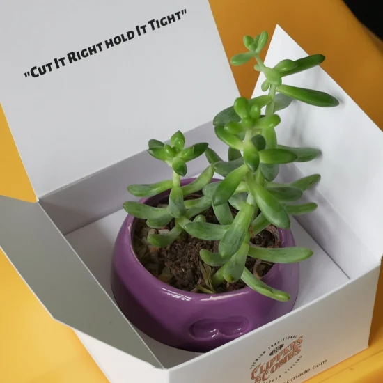 Boîtes rondes d'emballage de cadeau de fleur de boîte de chapeau de sucrerie de petit parfum de papier écologique avec le couvercle